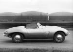 Arnolt-Bristol Deluxe Roadster 1953 года